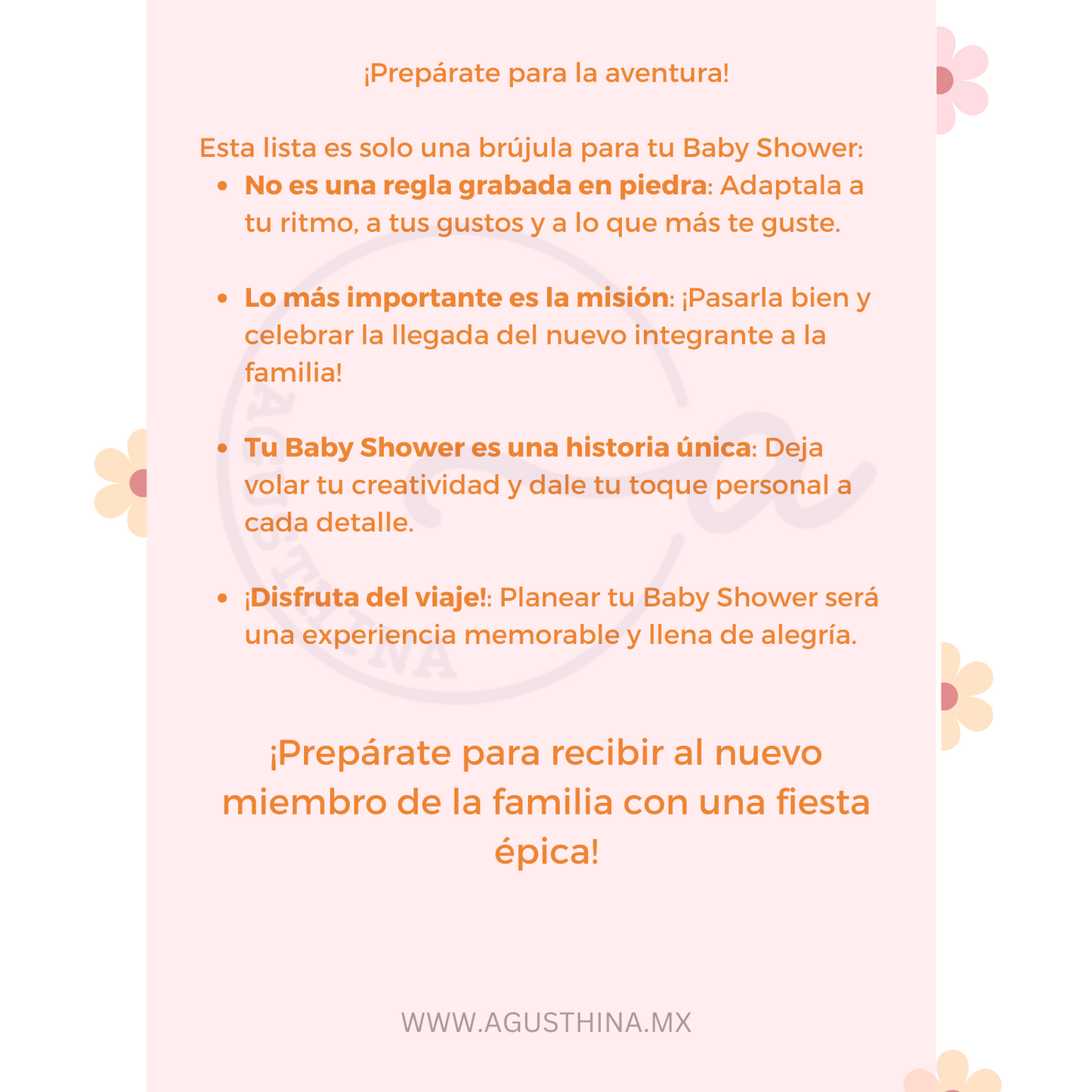 pdf para organizar un baby shower