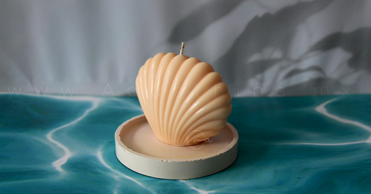 Aromaterapia-en-Casa-Cómo-Elegir-el-Aroma-Perfecto-Agusthina.mx Agusthinamx