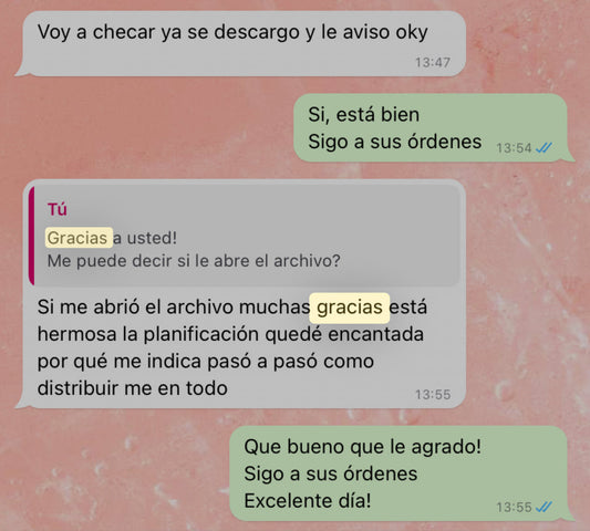 Planner XV Años PDF: Organiza tu Fiesta Perfecta Paso a Paso | Agusthina Agusthinamx