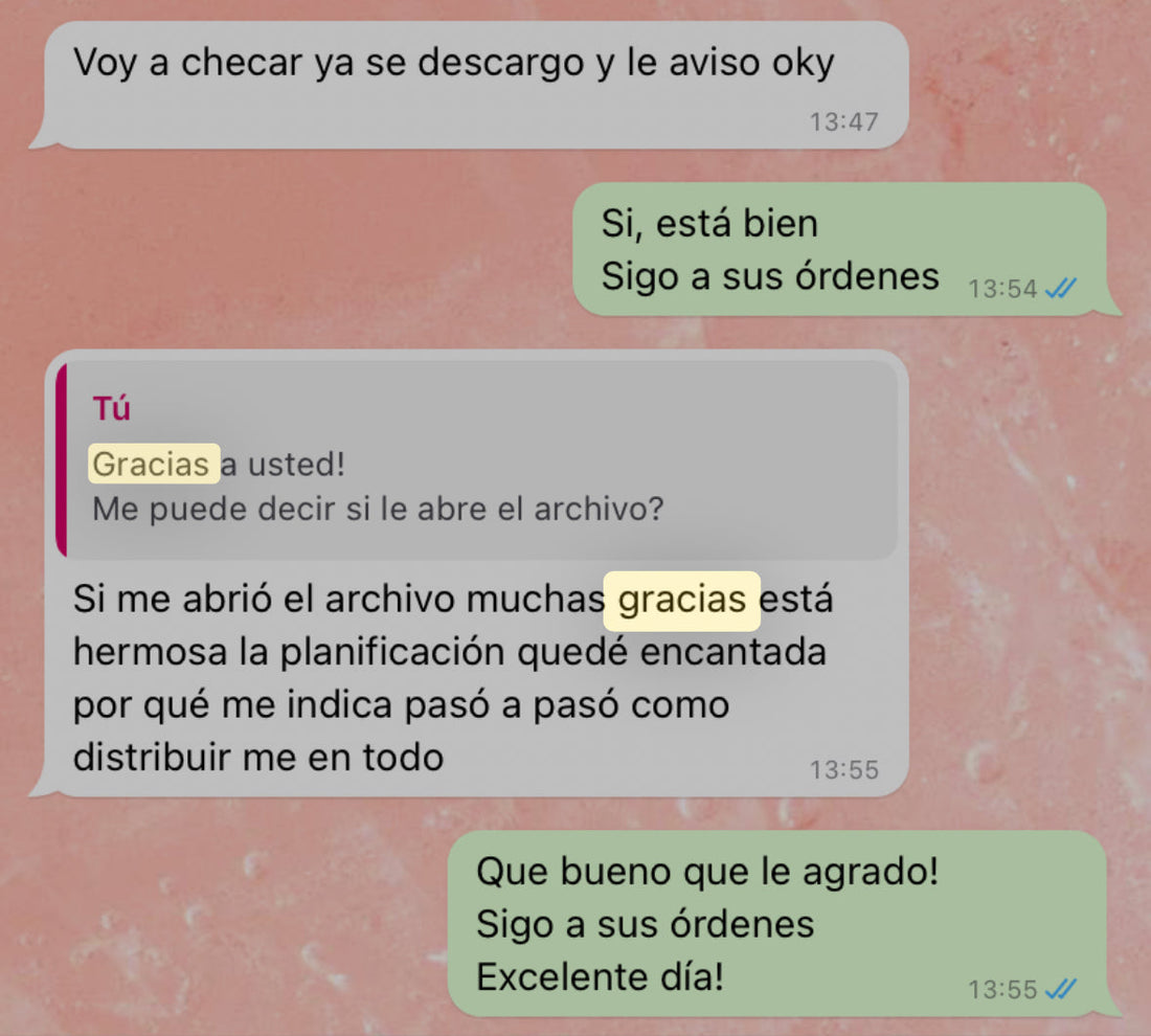 Planner Quinceaños: Guía completa para organizar los XV perfectos | Agusthina Agusthinamx