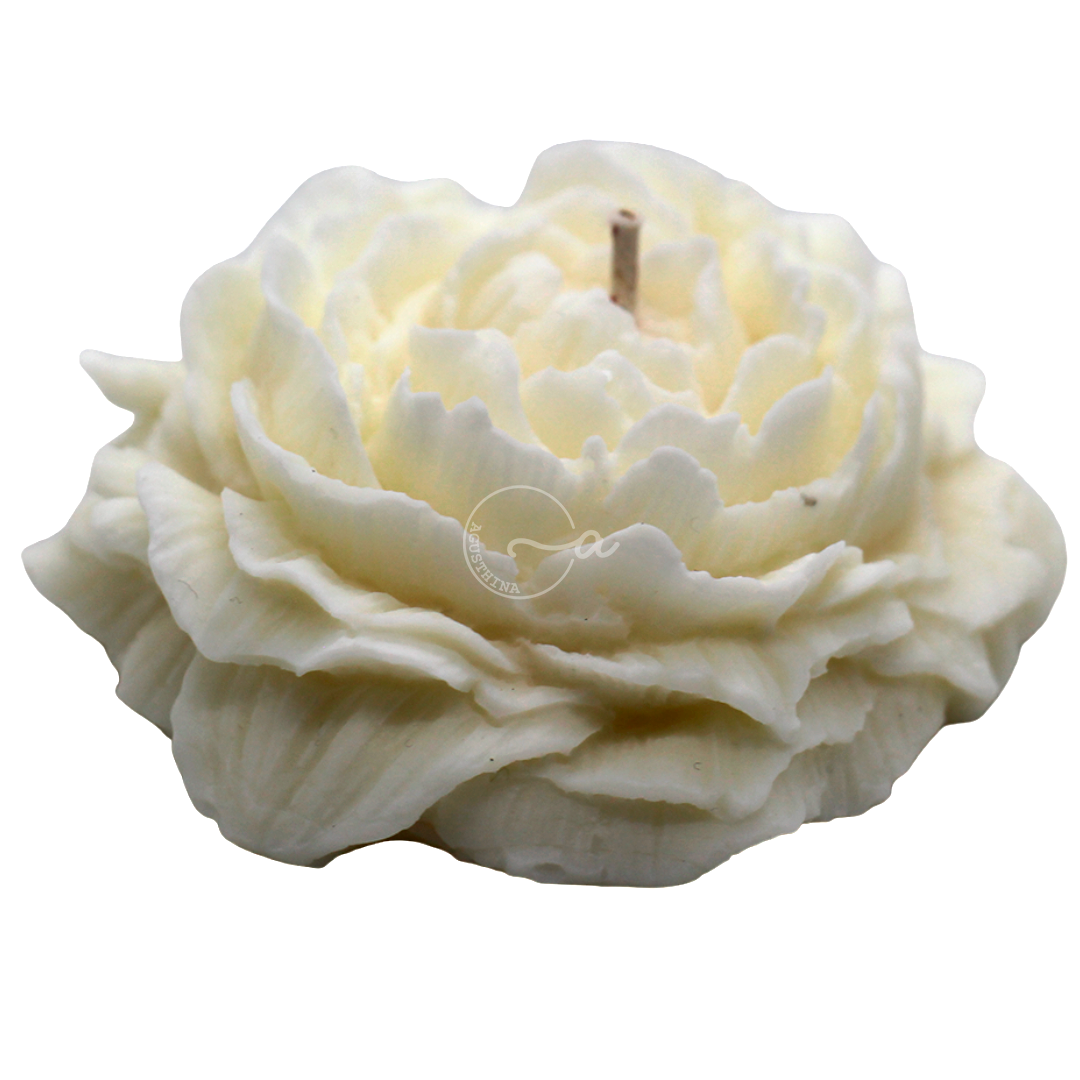 Peonia