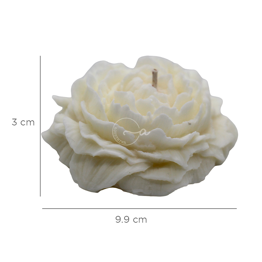 Peonia